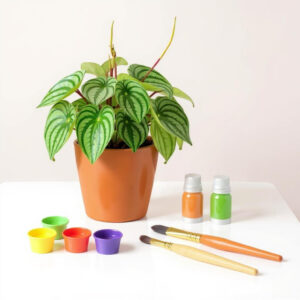 Kit Creativo Infantil: Decora tu propia matera y planta con tu hijo
