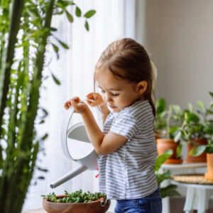 Plantas para Principantes
