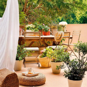 Plantas de Exterior