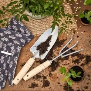 Mantenimiento de Plantas