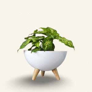 Matera Metálica Bowl con Patas