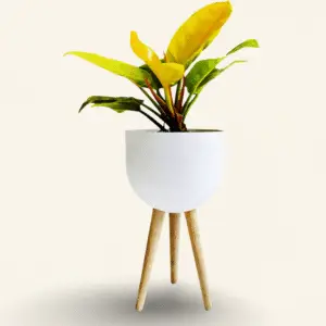 Matera Metálica Bowl con Patas – Matera Decorativa de Estilo Moderno