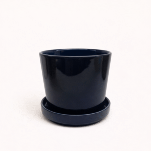 Matera de Cerámica Azul Oscuro con Plato – Estilo Clásico Elegante